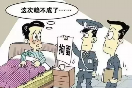 宁夏专业讨债公司有哪些核心服务？